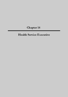 2007 Annual Report, Chapter 14 - Health Service Executive front page preview
              