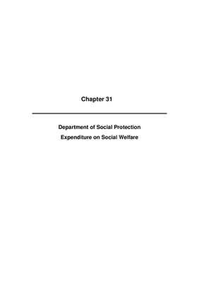 2009 Annual Report, Chapter 31 Department of Social Protection Expenditure on Social Welfare thumbnail
