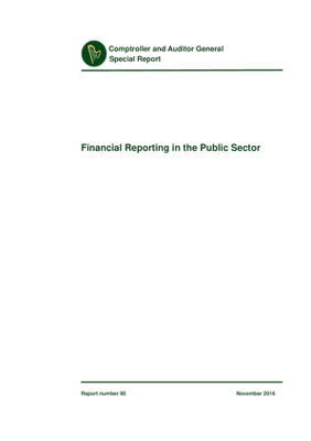Special Report 95 Financial Reporting in the Public Sector thumbnail