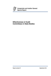 Special Report 87 Effectiveness of Audit Committees in State Bodies thumbnail