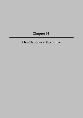 2007 Annual Report, Chapter 14 Health Service Executive thumbnail