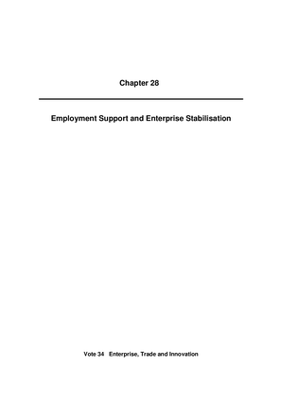 2010 Annual Report, Chapter 28 Employment Support and Enterprise Stabilisation thumbnail